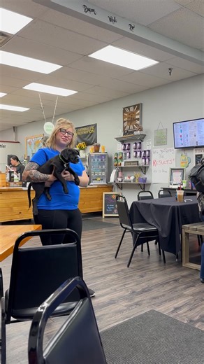 Midwest Animal Rescue & Services on Reels