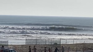 Surfs up ,, COWBUNGA | Michele Chapin