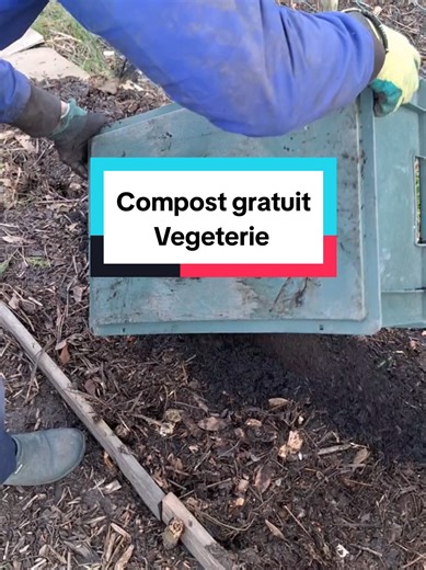 Le compost de vegeterie à récupérer gratuitement. Pourquoi recouvrir son sol de terreau hyper chère alors que tu peux enrichir ta zone de carton fueilles morte, déchets de cuisine et recouvrir le tout par du compost gratoooooos. Tu as plus qu'à planter en haut sans avoir retourné ton sol. #plantation #compost #potager #jardinage #permaculture