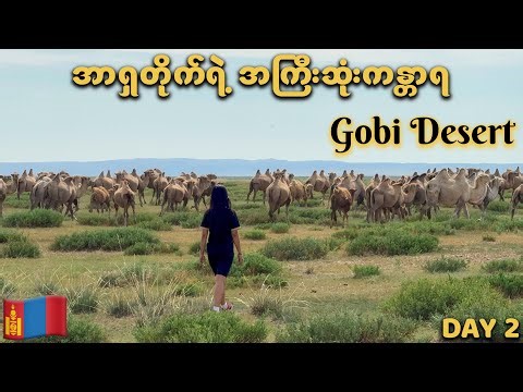 Day 2: Entering the Gobi Desert | Mongolia Road Trip 🇲🇳