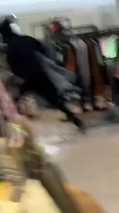 7.8K views · 90 reactions | Police said the mob was made up of 30 to 50 people who took off with $60,000 to $100,000 worth of luxury handbags and high-end clothing | NBC Connecticut | Facebook