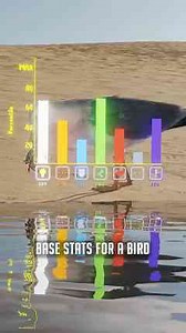 Why seagulls thrive in places where other birds struggle to survive