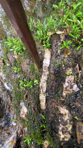 Gold Prospecting Tips for Beginners in 2026