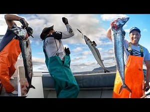 Snoek fishing in Buffels Bay, Cape Point