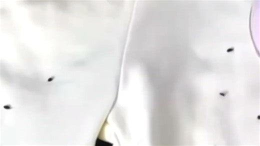 使用Tefal熨斗P2305，轻松去除毛球，衣物瞬间平滑如新！通勤穿搭更有质感，日常打理省时又省力，清洁效果看得见！