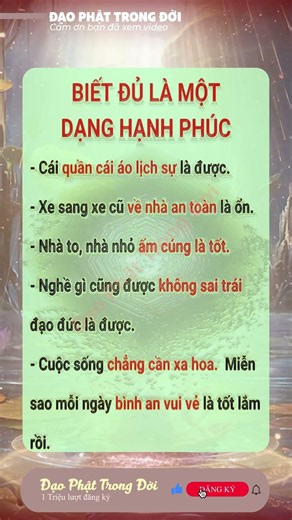 Khám phá Đạo Phật Trong Đời: Bí mật giúp bạn tìm thấy bình an và hạnh phúc đích thực.