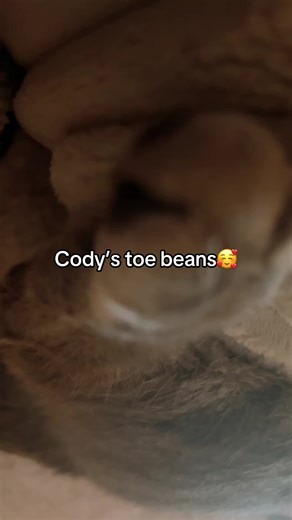 Krissa🐼🎋 (@puddinggirl.cute)’s videos with Toe Beans Jolene Parody - Matt Cox