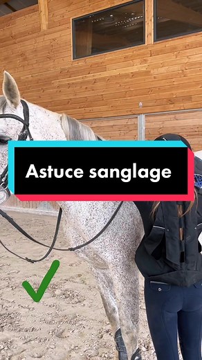 #astucecavalier #monteracheval #equitation #selledecheval #pourtoi Merci Manon & Verde ☺️#HavaianasLivreDeCliches