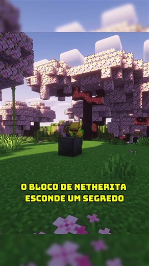 O bloco de Netheria é estranho! #java #fyp #minecraft