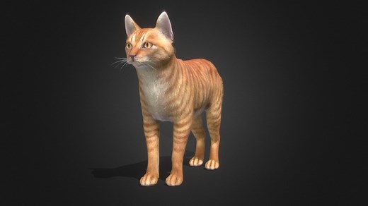 Cat Simple - Buy Royalty Free 3D model by RedDeer (@billl90)