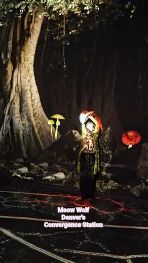 Colorado. Denver. Immersive art at Meow Wolf Denver's Convergence Station #immersive #art #denver