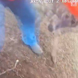 74K views · 233 reactions | DEER RESCUE: Police in Missouri freed a struggling deer that was tangled in a backyard hammock. Officers were joined by a number of local volunteers who cut the deer out of the net. https://abcn.ws/2CPRZs4 | ABC News | Facebook