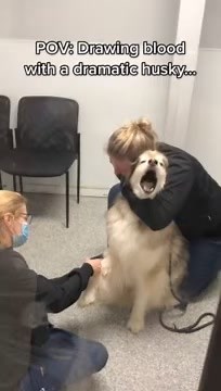 69K views · 1.1K reactions | Rumble on Reels | Facebook