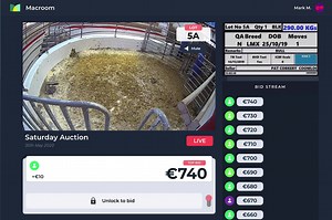 Glorious day down at the Mart in Macroom, we are LIVE 🐮🐮🐮 | MartEye