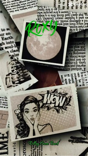 Stand by me #horse #horsetherapy #horselove #shortsfeed