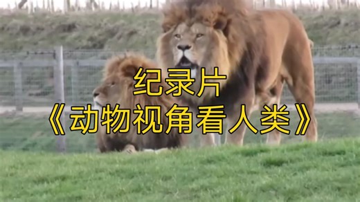 大型纪录片《动物视角看人类》持续为您播出