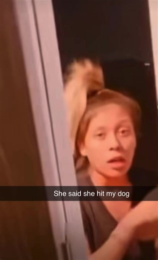 #dog #comedy #epic #videos #fyp