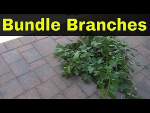 How To Bundle Branches With Twine-For Pickup-Tutorial