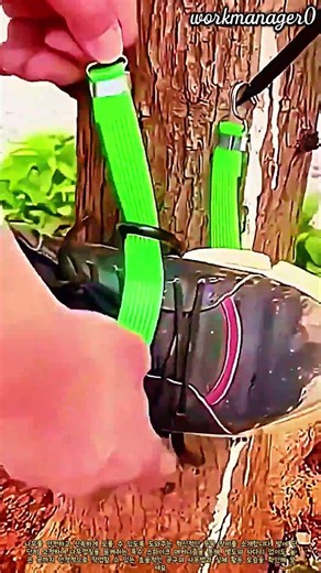 사다리가 필요 없는 신기한 나무 스파이크 #worker #process #equipment #invention #nature