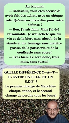 ⚖️😂 Le voleur le plus… raisonnable du tribunal ! #blagues #drôle #rire