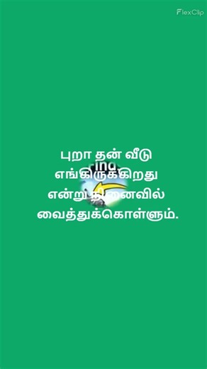 🧩 IQ Test GK #tamil #quiz #gk #shorts #yt #ytshorts #தமிழ் #அறிவு #viral #trending #youtube