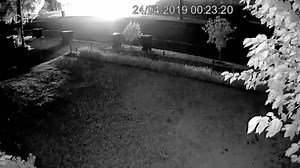 36K views · 79 reactions | Police are appealing for public assistance...