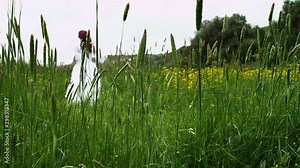 Runaway bride in white wedding dress in green field running away from camera in slowmotion.