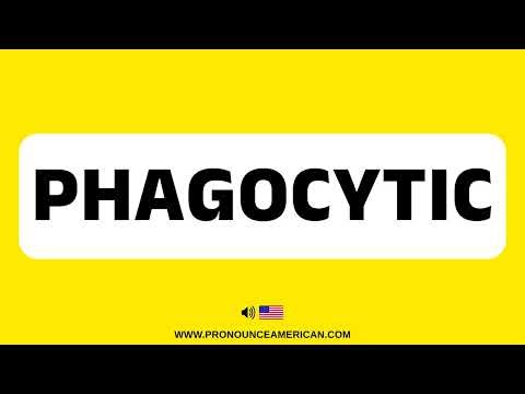 How to Pronounce Phagocytic (Correctly) | How to Say Phagocytic