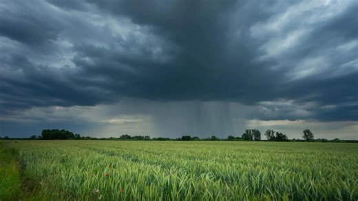 Scientists Discover Hidden Rainfall Pattern That Could Reshape Farming