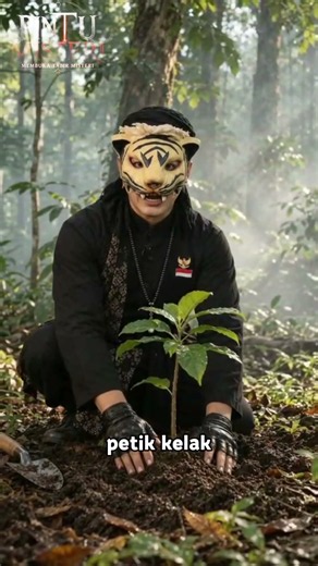 KATA BIJAK KI MACAN #katabijak #kimacan #masjawir #pintumisteri #spiritual #tarot #penerawangan