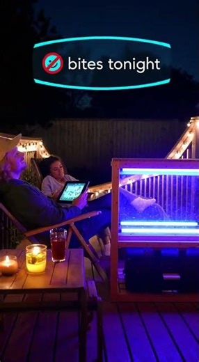 RimWorld Killbox IRL... but for Mosquitoes (No Raid, No Bite)