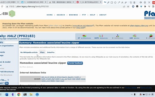 Windows下使用hmmer查找同源基因