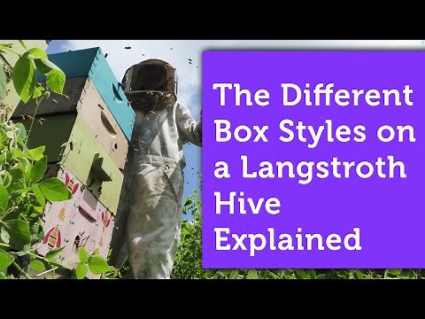 The Boxes of a Langstroth Hive Explained