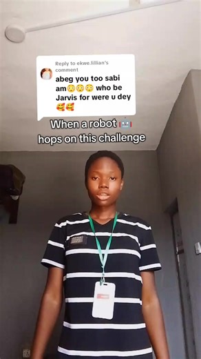 The Robot Challenge: A Fun Exploration