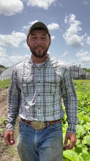 5 gardening tips from a farmer! 👨‍🌾 (via Farmer Froberg) #gardeningtips #farmingtips | Neighborhood Farms USA