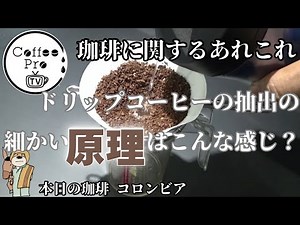 ドリップコーヒーの抽出の細かい原理はこんな感じ？ 2024年8月7日