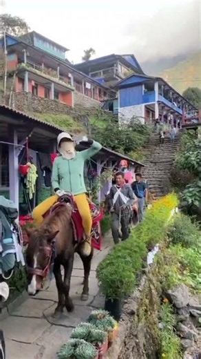 네팔 히말라야 트레킹 처음이라면? #네팔트레킹 #travel #네팔여행