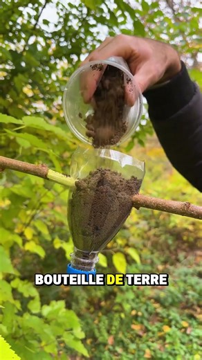 Tip to help a tree grow