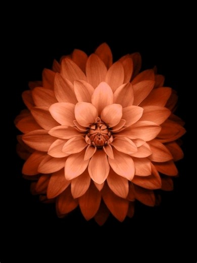 in another life>>> #lyrics #fyp #foryou #fypシ゚ #shienkielyricsss