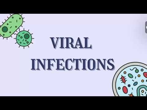MicroPara ||| Lesson 11