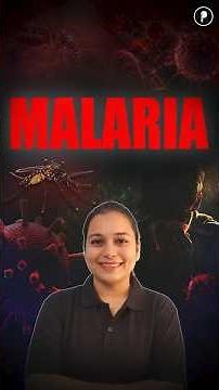 What is Malaria? Symptoms & Transmission Explained