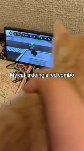Epic Cat Combo in Roblox