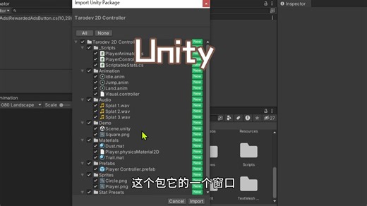 【Unity】如何导入UnityPackage文件到Unity项目中