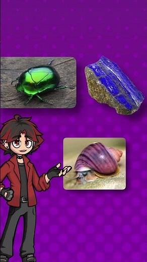 ¿Qué significa el MORADO en la Psicología del Color?