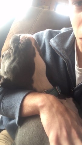 Man and Dog Howl Like They’re Headlining a Concert