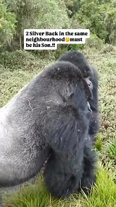 7.5K reactions · 58 shares | What Are 5 Interesting Facts About...