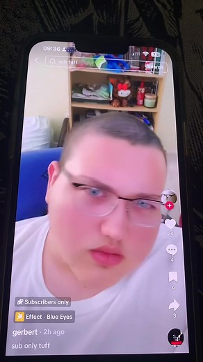 #gerbert