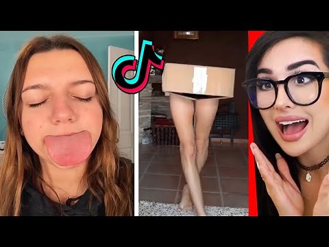 Tik Toks That Will Make Your Day Better