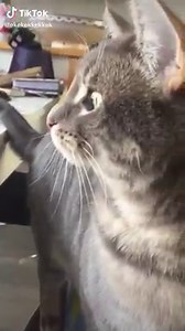 Ｖｉｎｔａｇｅ on Reels