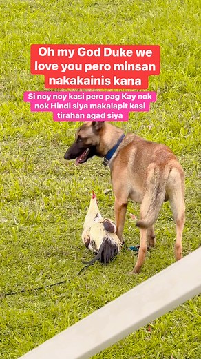 1.7M views · 6.7K reactions | #katilaokfamily #supportbensargui #fypviralシ #followersreels #fypviral #fypシ゚ #katilaok #viralvideochallenge #allfollowers | Anne Basanez Redick | Facebook